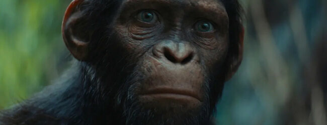 img Conoce el orden de las películas de El planeta de los simios